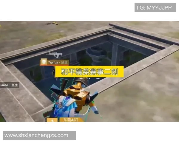 esports最新数据和平精英焦点LNG战队灵活性分析与战术适应性研究